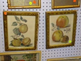 (LWALL) SET OF TWO FRUIT PRINTS; ONE DEPICTS THREE APPLES NEXT TO TWO WHITE FLOWERS. THE OTHER