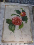 FLORAL PAINTING ON CANVAS; SHOWS A JAPANESE CAMELLIA WITH A CREAM BACKGROUND AND A BEIGE LINEN LIKE