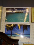 (BWALL) FRAMED BEACHFRONT PHOTOGRAPH; SHOWS AN ISLAND WITH SEAGULLS FLYING ABOVE, SAYS 