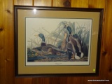 (DEN) JOHN J. AUDUBON DUCK FRAMED PRINT; 