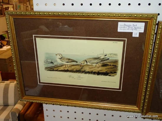 JOHN AUDUBON "PIPING PLOVER" BIRD IDENTIFICATION PRINT; DEPICTS A WATERFRONT SCENE OF A MALE AND