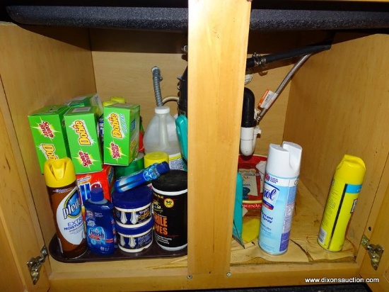 (KIT) CABINET LOT; LOT INCLUDES CLEANING SUPPLIES