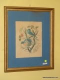 (DR) FRAMED PRINT; FRAMED AND MATTED BIRD PRINT IN GOLD FRAME- 18 IN X 22 IN
