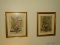 (BD3) FRAMED PRINTS; 2 FRAMED AND MATTED WILLIAMSBURG FLORAL PRINTS OF THE MONTH OF MAY AND AUGUST