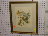 (LWALL) HUMMINGBIRD PRINT; FRAMED PRINT OF HUMMING BIRDS FEEDING ON A FLOWER COVERED PLANT. MATTED