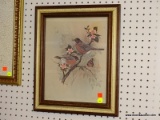(LWALL) FRAMED ROBIN PRINT; VINTAGE PRINT DEPICTS 2 ROBIN BIRDS SITTING ON THE BRANCHES OF A