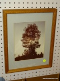(LWALL) FRAMED PHOTOGRAPH OF A TREE'S SILHOETTE WITH THE SUN SETTING BEHIND IT. MATTED IN LIGHT BLUE