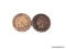 (2) 1894 INDIAN CENTS.