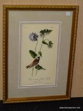 ANTIQUE BIRD BY JOHN AUDUBON. MEASURES 10