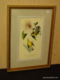 ANTIQUE BIRD BY JOHN AUDUBON. MEASURES 10