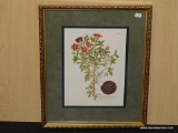 ANTIQUE BOTANICAL. MEASURES 14 1/4