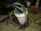 LOT OF ASSORTED HOSES. INCLUDES: GARDEN WATER HOSES, WASHING MACHINE HOSES, AND A 5 GAL BUCKET.