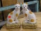 CAT THEMED BOOKENDS; PAIR OF BOOKENDS IN THE FORM OF WHITE AND ORANGE CATS SITTING ON PILLOWS. BOTH