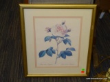 FRAMED ROSE PRINT; SHOWS A BLOOMING WHITE ROSE 