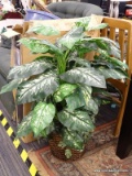 ARTIFICIAL PLANT; ARTIFICIAL VARIGATED LEAF FERN STYLE PLANT IN A WICKER PLANTER. MEASURES 36 IN