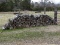 (FRONT YARD) FIRE WOOD; 6 TRUCK LOADS OF SWEET GUM FIREWOOD.