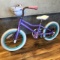 GIRLS BEGINNER BICYCLE