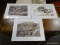 LOT OF 3 MATTED WILDLIFE PHOTOGRAPHS. INCLUDES PHOTOS OF BUFFALO, AND HORSES. ALL PHOTOS WERE TAKEN
