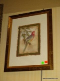 FRAMED PRINT OF A PARROT WITH OFF-WHITE MATTING AND A GOLD TONED FRAME. MEASURES 14.5 IN X 18.5 IN.