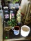 (FAM) CONTENTS O TOP OF TABLE- PR. OF ORIENTAL STYLE VASES, NEW CANTON POTTERY MUG, RESIN NOAH'S ARC