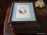 (FAM) 10 FRAMED AND MATTED COLOR ENGRAVING BIRD PRINT PLATES ( POSSIBLY AUDUBON), HAVE STAMP DATE OF