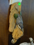 (KIT) HAND CARVED WREN WALL HANGING BIRD ARTWORK BY ALEXANDER ZINK. MEASURES 14 IN X 3.5 IN. RETAIL