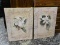 (R2) PAIR OF FLORAL PRINTS ON BOARD. EACH MEASURES 21 IN X 28 IN. ITEM IS SOLD AS IS WHERE IS WITH