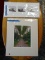 (R2) LOT OF 2 MATTED SHEEP THEMED PRINTS. BOTH ARE PENCIL SIGNED BY THE ARTIST. 1 MEASURES 20 IN X