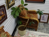 (R2) CREAM COLORED PLANTER WITH LIVE PLANT INSIDE. MEASURES 45 IN TALL. ITEM IS SOLD AS IS, WHERE