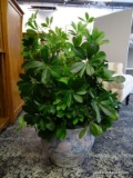 (R2) ARTIFICIAL LEAFY GREEN PLANT WITH FLORAL PATTERN JARDINERE. MEASURES 34 IN TALL. ITEM IS SOLD