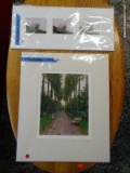 (R2) LOT OF 2 MATTED SHEEP THEMED PRINTS. BOTH ARE PENCIL SIGNED BY THE ARTIST. 1 MEASURES 20 IN X