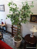 (R2) ARTIFICIAL FICUS IN WHITE WICKER PLANTER. MEASURES APPROXIMATELY 80 IN TALL. ITEM IS SOLD AS