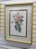 (R1) FRAMED ROSE IDENTIFICATION PRINT IN A GOLD TONE FRAME WITH CLOTH AND GREEN MATTING. MEASURES 23