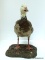 ROSS GOOSE-WHITE WITH BLACK WING TIPS. TABLE MOUNT IN TAKE OFF POSITION. IT IS THE THE SMALLEST OF