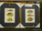 (R3) PAIR OF FISH PRINTS (EACH SHOWING 3 FISH SPECIES). IN GOLD FRAMES MEASURE 18 IN X 22 IN. ITEM