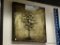 (R3) GLOSSY FINISH OIL ON CANVAS OF A TREE. MEASURES APPROXIMATELY 24 IN X 24 IN. ITEM IS SOLD AS IS