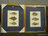 (R3) PAIR OF FISH PRINTS (EACH SHOWING 3 FISH SPECIES). IN GOLD FRAMES MEASURE 18 IN X 22 IN. ITEM