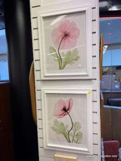 STEVEN N MEYERS ICELAND POPPY 1 AND 2 PRINTS (14.5H X 16.5)