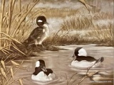 MATTED AND FRAMED PRINT OF WOOD DUCKS 2012 SIGNATURE APPEARS AS ANNE HOLLOWAY (29 X 25)
