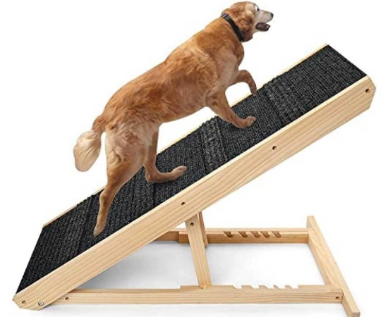 Pet Ramp for Dogs and Cats