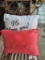 2 THROW PILLOWS. ONE WITH 