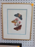 GOLD TONE FRAMED PRINT OF BUTTERFLIES AND FLOWERS. MEASUREMENTS ARE APPROXIMATELY 11 IN X 13 IN..