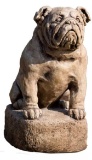 Compania International Petey Garden Statue of a Bulldog