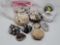 LARGE LOT OF SHELLS TO INCLUDE FOSSILIZED SHELLS, ONE ENCASED IN GLASS BALL, SHELL BASKET WITH SHELL