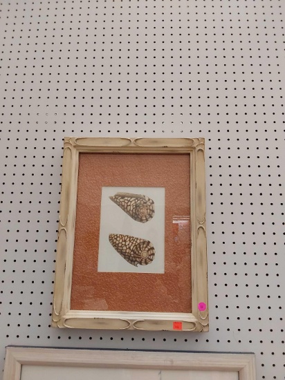 (R1) WOOD FRAME PRINT OF TWO CONE SHELLS, MEASUREMENTS ARE APPROXIMATELY 14 in x 18 in.