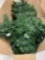 7.5ft Artificial Holiday Christmas Tree, Unlit Premium Hinged Spruce Holiday Xmas Tree with Metal