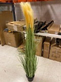 ARTIFICIAL 55? TALL INDOOR/OUTDOOR PAMPAS GRASS PLANT IN GROWE CREAM, GREEN, AND THE POT IS BLACK