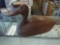 HAND CARVED CANVAS BACK DUCK DECOY, MARKED ON THE BOTTOM BY THE ARTIST. DATED 1978. IT MEASURES