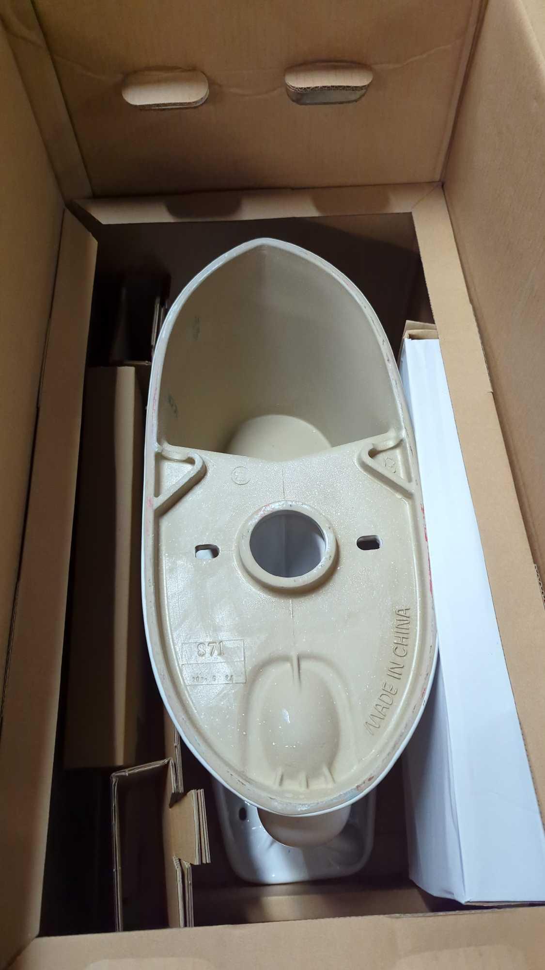 Glacier bay 2024 power flush