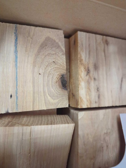JEALOUS DEVIL Hickory Wood Blocks, Retail Price $10, Appears to be New in Open Box, What You See in